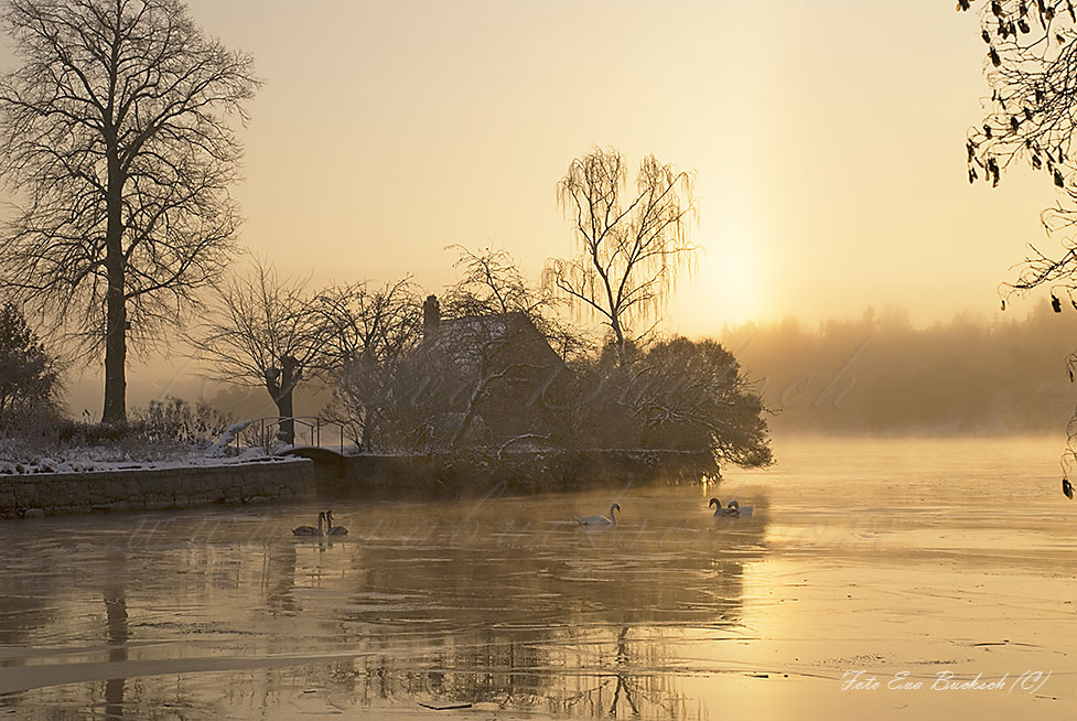 Foto av Eva Bucksch